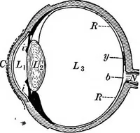An illustration from Principles of physics (1901)