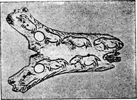 Picture 3 of 499 from The story of art throughout the ages; an illustrated record (1904), leaf 21