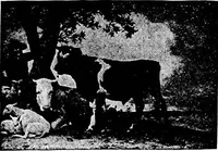 An illustration from The story of art throughout the ages; an illustrated record (1904)