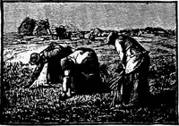 Picture 458 of 499 from The story of art throughout the ages; an illustrated record (1904), leaf 296