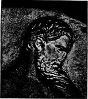 An illustration from The story of art throughout the ages; an illustrated record (1904)