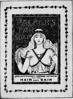 An illustration from Advertising and selling; principles of appeal and response (1913)