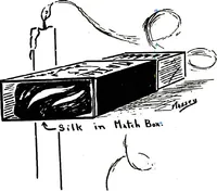 Picture 50 of 53 from New and original magic : comprising a number of novel and entertaining effects, a fund of information for the professional artist and his younger brother, the amateur (1922), leaf 196