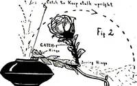 Picture 1 of 53 from New and original magic : comprising a number of novel and entertaining effects, a fund of information for the professional artist and his younger brother, the amateur (1922), leaf 29