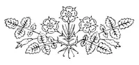 An illustration from A guide to old and new lace in Italy : exhibited at Chicago in 1893 (1893)