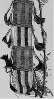 An illustration from The Arapaho (1902)
