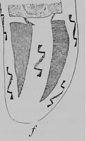 An illustration from The Arapaho (1902)