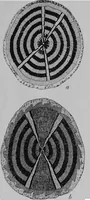 An illustration from The Arapaho (1902)