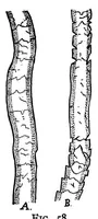 An illustration from Textile calculations : a complete guide to all calculations relating to the construction of all kinds of yarns and fabrics, the analysis of cloth, etc. (1912)