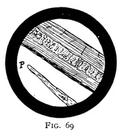 An illustration from Textile calculations : a complete guide to all calculations relating to the construction of all kinds of yarns and fabrics, the analysis of cloth, etc. (1912)