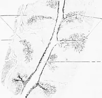 An illustration from Stöhr's histology, arranged upon an embryological basis (1906)