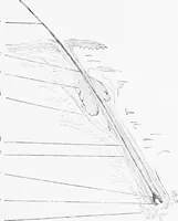 An illustration from Stöhr's histology, arranged upon an embryological basis (1906)