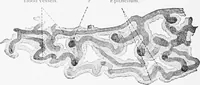 Picture 246 of 277 from Stöhr's histology, arranged upon an embryological basis (1906), leaf 367