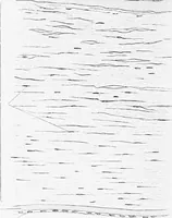 An illustration from Stöhr's histology, arranged upon an embryological basis (1906)