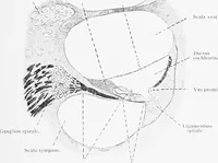 Picture 268 of 277 from Stöhr's histology, arranged upon an embryological basis (1906), leaf 400
