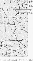 An illustration from Stöhr's histology, arranged upon an embryological basis (1906)