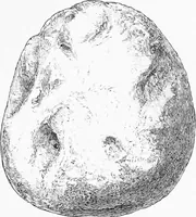 Picture 78 of 98 from Archæological and historical collections relating to Ayrshire & Galloway (1878), leaf 170