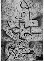 Picture 6 of 98 from Archæological and historical collections relating to Ayrshire & Galloway (1878), leaf 46