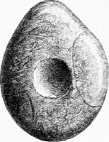Picture 28 of 98 from Archæological and historical collections relating to Ayrshire & Galloway (1878), leaf 82