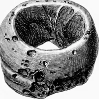 Picture 34 of 98 from Archæological and historical collections relating to Ayrshire & Galloway (1878), leaf 86