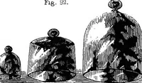 Picture 35 of 86 from How to work with the microscope (1865), leaf 120