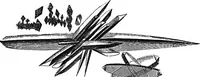 An illustration from How to work with the microscope (1865)