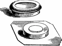 An illustration from How to work with the microscope (1865)