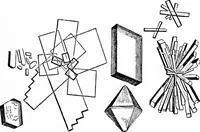 Picture 70 of 86 from How to work with the microscope (1865), leaf 248