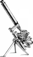 An illustration from How to work with the microscope (1865)