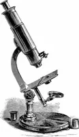 An illustration from How to work with the microscope (1865)