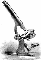 Picture 9 of 86 from How to work with the microscope (1865), leaf 42