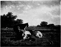 An illustration from The valuable collection of paintings : belonging to Thomas B. Harned, Esq. ... and ... relics of George and Martha Washington and historical china, engraved portraits and views, &c., to be sold ... May 28 and 29, 1917 .. (1917)