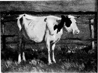 An illustration from The valuable collection of paintings : belonging to Thomas B. Harned, Esq. ... and ... relics of George and Martha Washington and historical china, engraved portraits and views, &c., to be sold ... May 28 and 29, 1917 .. (1917)