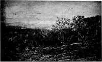 An illustration from The valuable collection of paintings : belonging to Thomas B. Harned, Esq. ... and ... relics of George and Martha Washington and historical china, engraved portraits and views, &c., to be sold ... May 28 and 29, 1917 .. (1917)