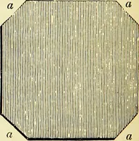 An illustration from A glossary of terms used in Grecian, Roman, Italian, and Gothic architecture (1845)