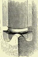 An illustration from A glossary of terms used in Grecian, Roman, Italian, and Gothic architecture (1845)