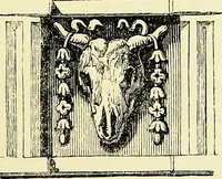 An illustration from A glossary of terms used in Grecian, Roman, Italian, and Gothic architecture (1845)
