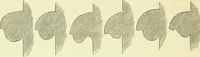 An illustration from A glossary of terms used in Grecian, Roman, Italian, and Gothic architecture (1845)