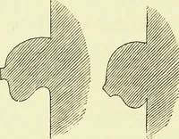 An illustration from A glossary of terms used in Grecian, Roman, Italian, and Gothic architecture (1845)