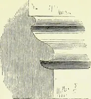An illustration from A glossary of terms used in Grecian, Roman, Italian, and Gothic architecture (1845)