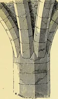 An illustration from A glossary of terms used in Grecian, Roman, Italian, and Gothic architecture (1845)