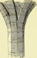 An illustration from A glossary of terms used in Grecian, Roman, Italian, and Gothic architecture (1845)