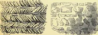 An illustration from A glossary of terms used in Grecian, Roman, Italian, and Gothic architecture (1845)