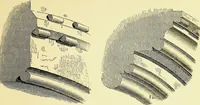 An illustration from A glossary of terms used in Grecian, Roman, Italian, and Gothic architecture (1845)