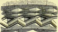 An illustration from A glossary of terms used in Grecian, Roman, Italian, and Gothic architecture (1845)