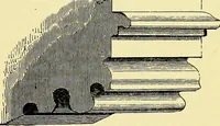 An illustration from A glossary of terms used in Grecian, Roman, Italian, and Gothic architecture (1845)
