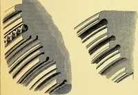 An illustration from A glossary of terms used in Grecian, Roman, Italian, and Gothic architecture (1845)