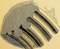 An illustration from A glossary of terms used in Grecian, Roman, Italian, and Gothic architecture (1845)