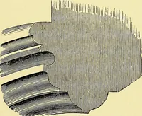 An illustration from A glossary of terms used in Grecian, Roman, Italian, and Gothic architecture (1845)