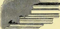 An illustration from A glossary of terms used in Grecian, Roman, Italian, and Gothic architecture (1845)